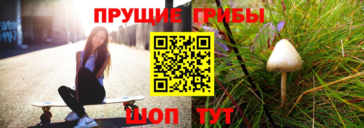 Псилоцибиновые грибы мухоморы  Вход с VPN  Псилоцибиновые грибы мицелий  Железногорск 