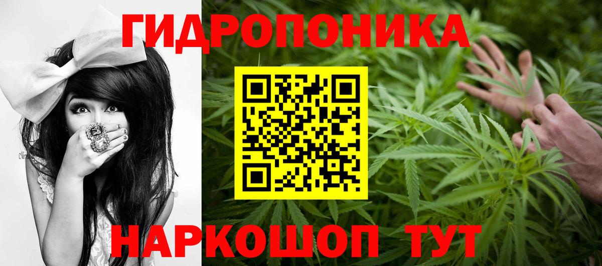 Марихуана ГИДРОПОН  Вход с VPN  Канабис ГИДРОПОН  Железногорск  Бошки марихуана конопля 